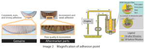 magnification of adhesion point